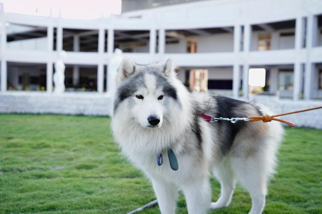 Abhyuday University Khargone Infrastructure photo 12